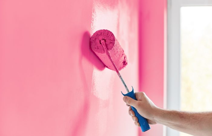 Male hand painting wall with paint roller. Painting apartment, renovating with pink color paint